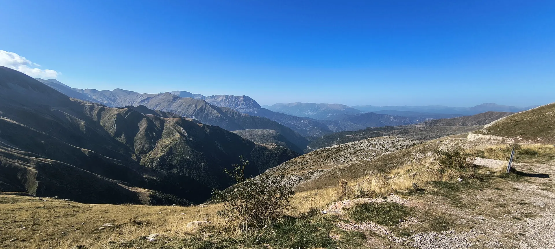 44.jpg